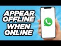 How to Appear Offline on WhatsApp When Online (2025)