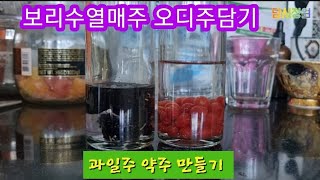 보리수열매주 오디주 직접따서 과일주 만들어 봤어요~