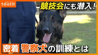 足跡調査、行方不明者の探索…警察犬の訓練に密着！競技会にも潜入！