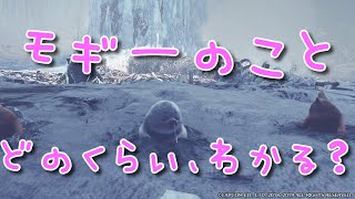 【MHWI】レア環境生物のヒミツ教えます～その2　モギー編　【モンスターハンターワールド：アイスボーン】