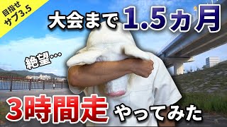 【サブ3.5への道（絶望・・・）】現状どれくらいのペースで3時間走れるか試してみました