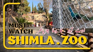 Abbottabad First Zoo -Shimla Pahari Zoo -ایبٹ آباد  کا پہلا چڑ یا گھر