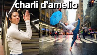 Charli D’Amelio’s Incredible TikTok Photo Challenge