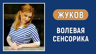 Жуков. Базовая ЧС. Волевая сенсорика. Соционика. Типирование по аспектам.