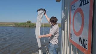 Plankton Net Sampling