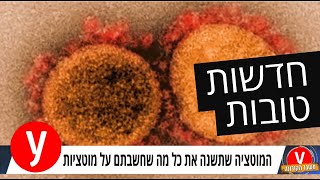 מבזק חדשות טובות: למה הדבורים עפות על הקורונה?