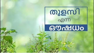 തുളസി എന്ന ഔഷധം / benefits of holy basil in malayalam