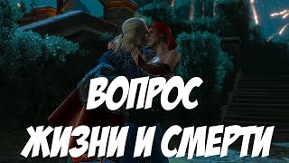 Вопрос жизни и смерти || Игрофильм || Ведьмак 3: Дикая Охота