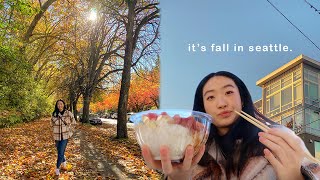 sunny fall days in seattle 🍁 | living in seattle diaries ep. 3