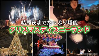 【2024/12月】クリスマスディズニーランドvlog 後編！プラザパビリオンでディナー。Reach for the Starsに感動。パレード、花火まで！東京ディズニーリゾート 締めの川崎タンタン！