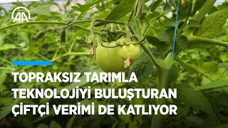 Konya'da topraksız tarımla teknolojiyi buluşturan çiftçi verimi de katlıyor