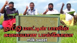 PALKOVA | நாட்டு மாட்டின் பாலில்  சுவையான பால்கோவா | WORLD VILLAGE KITCHEN