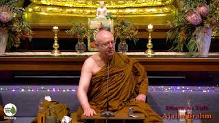 How to Deal with Blame | Ajahn Brahm | 6 December 2019