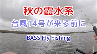 【秋の霞水系】台風が来る前に釣ろう！【フラデバTopWater】