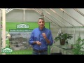 edenlite glasshouses