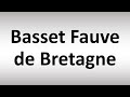 How to Pronounce Basset Fauve de Bretagne (French Dog Breed)