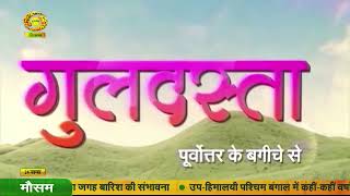 गुलदस्ता -(पूर्वोत्तर के बगीचे से)कहानी-ख्वाबो की कश्ती-(पार्ट-01)