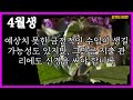 1972년생 1월 쥐띠 절대 놓치지 말아야 할 중요한 달 쥐띠1월운세 72년생1월운세 72년1월운세