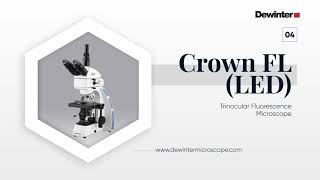 Dewinter Fluorescence Microscope