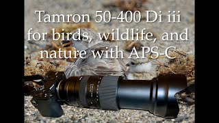 One Fine Lens! Tamron 50-400 Di iii zoom for bird, wildlife, and nature photography with APS-C