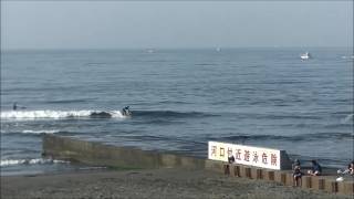 2017.5.8 湘南波情報動画　AM6:15 鵠沼　Jerry Smith