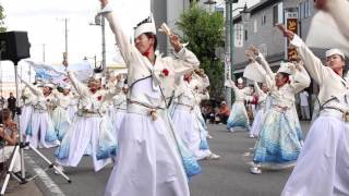 勇舞会 2016坂戸夏よさこい