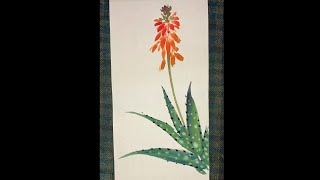 Aloe vera flower, color ink drawing