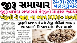 જીરું ના ભાવમાં જોરદાર તેજી💥| 24-01-2025|જીરું ની ચર્ચા | information about cumin price |commodity