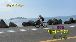 제주도 애월에서 중문까지 라이딩