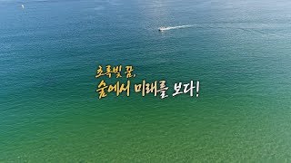 초록빛 꿈, 숲에서 미래를 보다!