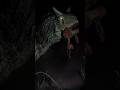 The Untold Horror of Carnotaurus...