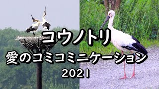 2021年ひかるとレイ  愛のコミニケーション ベビー誕生から40日齢  2021  Stork love family.