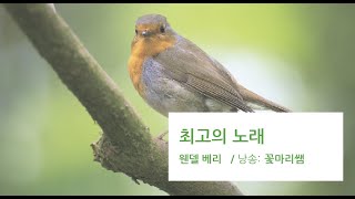 [시낭송] 최고의 노래_고요를 먼저 들어야 한다