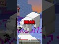 Minecraft, But When You Subscribe An Polar Bear Spawns