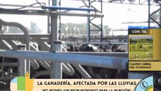 QM AGRO - PROGRAMA 1 - 22.08.15