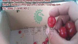 全自动樱桃去核机Automatic cherry pitting machine