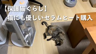 I bought a cat-friendly heater. ｜My impressions after using it.