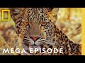 The Fight For Survival | Savage Kingdom Mega Episode | Season 2 Full Episodes