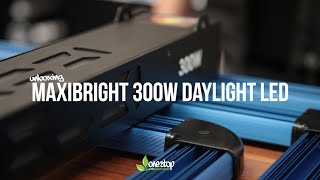 Maxibright 300w Daylight LED - Unboxing