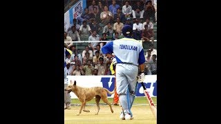 All Animal Attacks in Cricket | Cricket History of All Time | Cricket Funny Moments with Animals