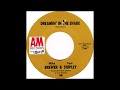 Mike Brewer & Tom Shipley - Dreamin' In The Shade 1968