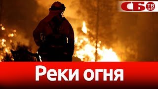 Лесные пожары в Калифорнии уничтожают все на своем пути