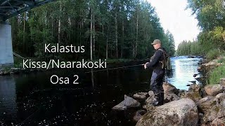 Kalastus Kissa/Naarakoski Osa 2