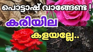 ഓര്‍ഗാനിക് പൊട്ടാഷ് വീട്ടില്‍നിര്‍മിക്കാം കരിയില മാത്രം മതി  How to make Dry leaf Mould|