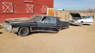 Car lineup for Demolition Derby 2022 1974 Caddy Fleetwood 1973 Caddy Eldorado \u0026 1996 Buick. FUN TIME