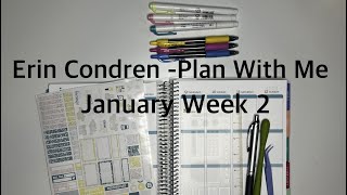 Destiny Plans - Plan With Me - Week 2 of 2025