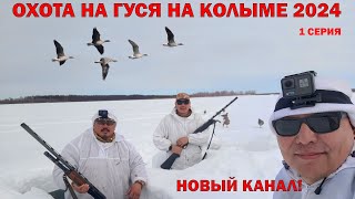 ОХОТА НА ГУСЯ НА КОЛЫМЕ 2024. 1 ЧАСТЬ. GOOSE HUNTING IN SIBERIA 2024. YAKUTIA