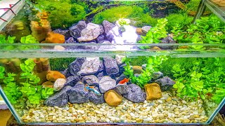 DIY aquarium setup decoration ideas.একুরিয়াম সাজানো।