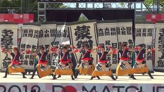 ２０１８ にっぽんど真ん中祭り(８/２６日) //  名古屋学生チーム『鯱』