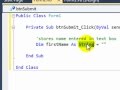 Visual Basic variables